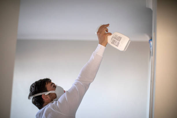 Best Best Mold Removal Companies  in Bolivar, OH